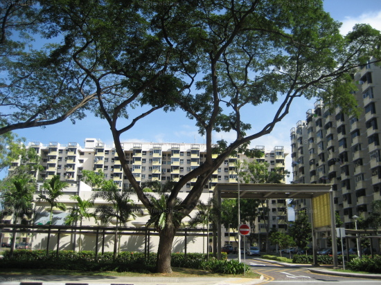 Blk 8 Marine Terrace (Marine Parade), HDB 3 Rooms #268312